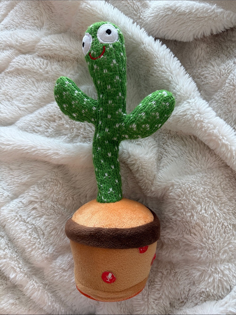 Dancing & Talking Cactus